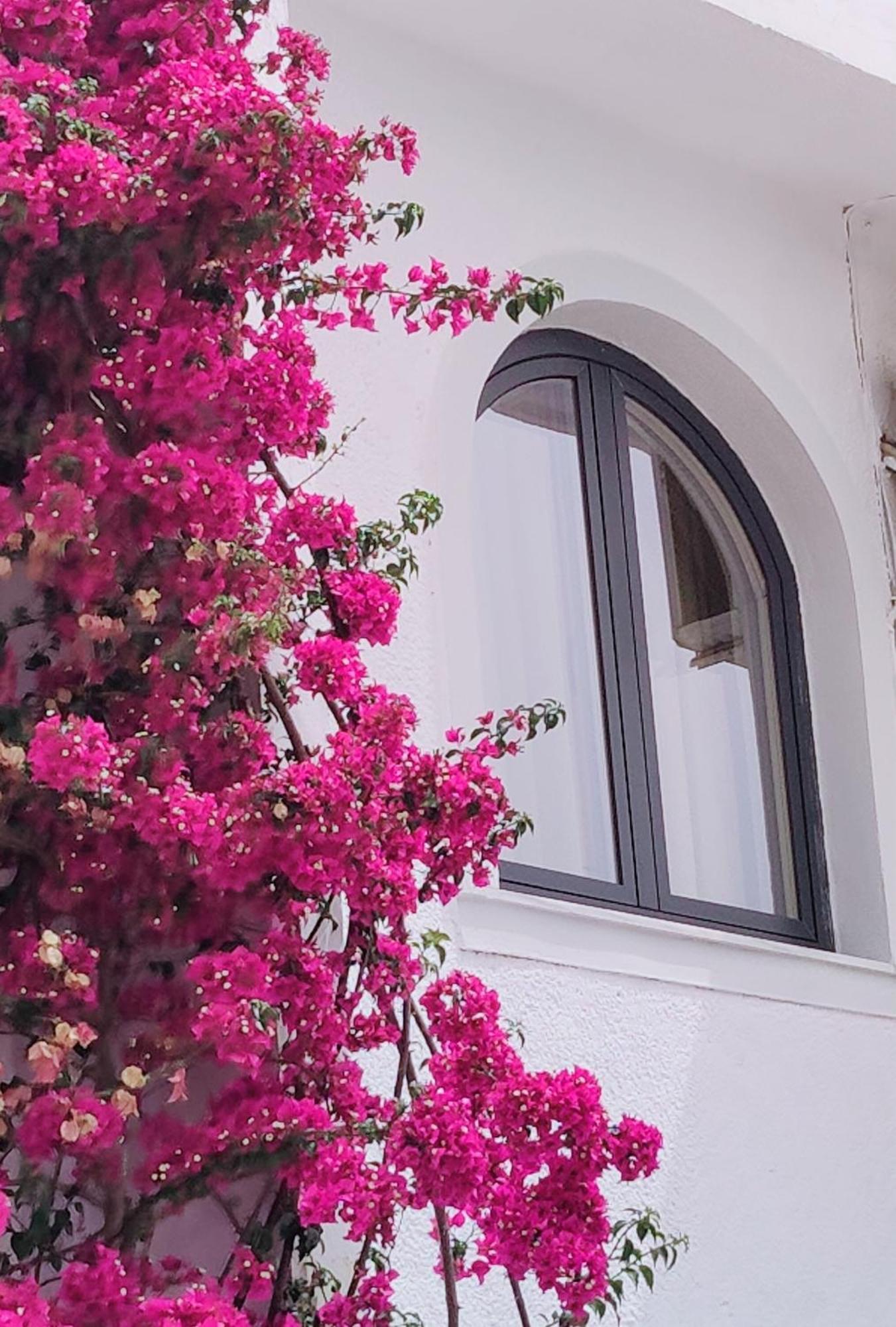 Villa Margarit Boutique Hotel ساراندا المظهر الخارجي الصورة